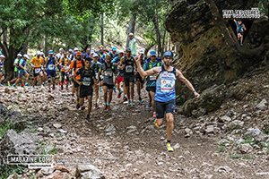 Trail des cèdres 2024